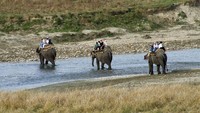 Jim Corbett national Park, India. (AP Photo/Vijay Joshi)