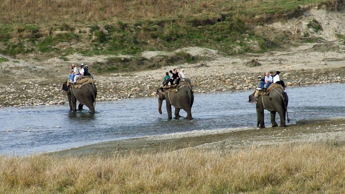 Jim Corbett national Park, India Foreign tourists ride on the elephant on a safari crossing a river in search of tigers at the Jim Corbett National Park in northern India, Feb. 24, 2007. Jim Corbett National Park, located in the northern Indian state of Uttarakhand, epitomizes India's success in saving the endangered Royal Bengal Tiger, the magnificent yellow-and-black striped cat found only in Asia. Being on top of an elephant is the best way to see the big cat, whose numbers have increased rapidly in the last few years at the park, India's finest tiger reserve. (AP Photo/Vijay Joshi)