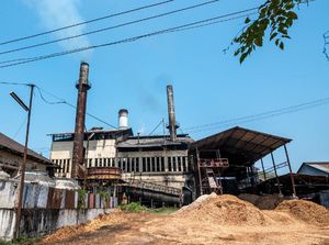 Stok Tetes Tebu Menumpuk di Pabrik Gula Gegara Banjir Impor Etanol