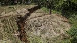 Penampakan Tanah Retak di Sukabumi, 5 Rumah Warga Rusak