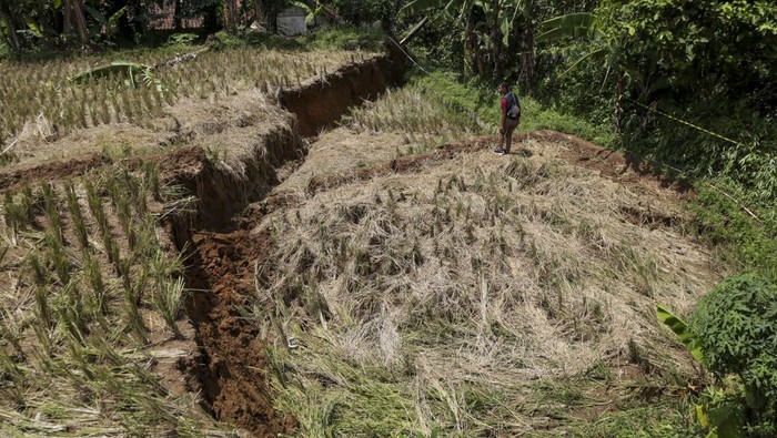 Penampakan Tanah Retak di Sukabumi, 5 Rumah Warga Rusak Warga mengamati tanah retak di Tegalkaso, Desa Bencoy, Cireunghas, Kabupaten Sukabumi, Jawa Barat, Rabu (2/12/2023). Badan Penanggulangan Bencana Daerah (BPBD) Kabupaten Sukabumi mencatat akibat pergeseran tanah sedikitnya lima rumah warga rusak, akses jalan penghubung antar kampung retak dan sebanyak 21 warga terpaksa mengungsi di tempat yang aman. ANTARA FOTO/Henry Purba/agr/nz