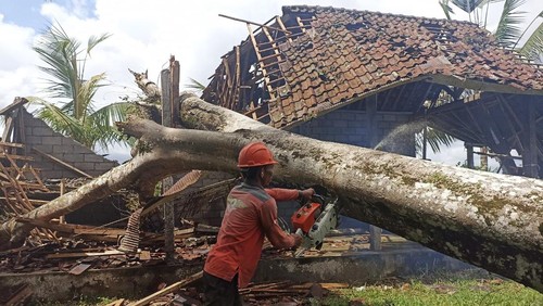 Pohon albasia berdiameter sekitar 80 sentimeter (cm) menimpa bangunan di Pura Subak di Desa Manukaya, Kecamatan Tampaksiring, Gianyar, Bali, hingga hancur.
