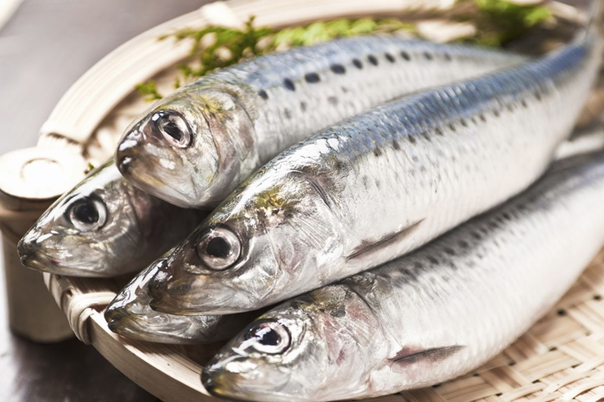 Makan Ikan Sarden Segar Dapat Membuat Kulit Cerah Berseri
