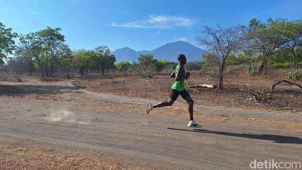 Mereka merupakan peserta Balu-RUN 10K 2023 yang digelar di kawasan TN Baluran, Situbondo. Bukan hanya dari berbagai kota di Indonesia, peserta juga datang dari beberapa negara.