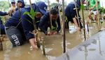 BPKH Tanam Ratusan Mangrove di Pesisir Jakarta