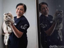 Ikut Kontes Kucing Sampai ke Eropa