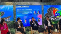Kemudian industri juga membutuhkan mobilisasi sektor keuangan. Kapal yang berteknologi baru, sehingga membutuhkan belanja modal yang besar dibanding kapal konvensional - Foto: detikcom/Sylke Febrina Laucereno