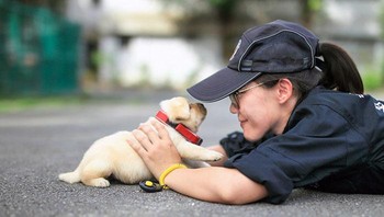 Pawang melatih anjing pelacak untuk mendeteksi zat-zat seperti bensin, cairan korek api, aseton, dll. Foto: Boredpanda