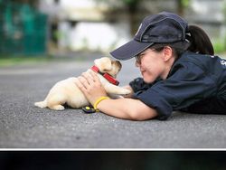 Potret Gemas Kala Para Anjing Dilatih Jadi Polisi