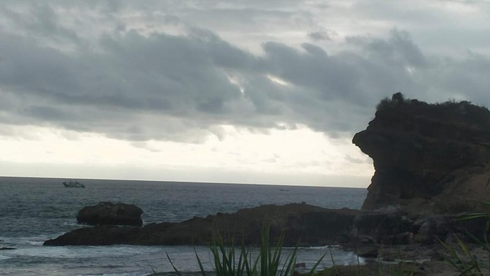 Pantai Papuma, Jember, yang viral muncul lumba-lumba.