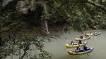 Serunya Naik Kano Susuri Sungai di Taman Nasional Bantimurung Bulusaraung