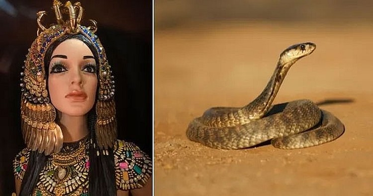 12 Kematian Paling Misterius Dalam Sejarah Dunia