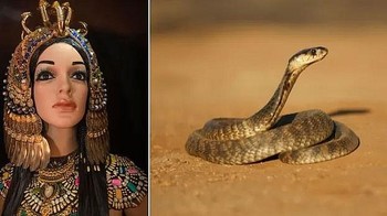 Cleopatra, penguasa terakhir Mesir Ptolemeus meninggal 12 Agustus tahun 20 SM di Alexandria. Setelah Pertempuran Actium, pasukan Antony dan Cleopatra dikalahkan pasukan Octavianus. Banyak rumor mengatakan Cleopatra bunuh diri setelah kegagalan ini. Setelah mendengar rumor tersebut, Antony bunuh diri dengan pedangnya sendiri, namun rumor bunuh diri Cleopatra tidak benar. Pada 12 Agustus 30 SM, setelah pemakaman Antony dan bertemu Octavianus, Cleopatra mengunci diri di kamarnya dan meninggal, yang berarti tak ada yang tahu bagaimana dia meninggal. Ada teori Cleopatra meninggal karena gigitan ular kobra. Ahli modern masih memperdebatkan keaslian kematiannya akibat ular. Beberapa ahli mengatakan saingannya, Octavianus, memaksanya bunuh diri dengan cara lain. (Foto: knowninsiders)