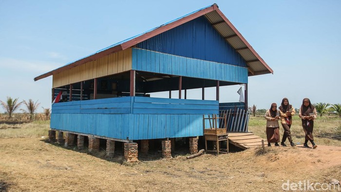 Bantu Ternak Sapi dan Pencak Silat, Siswi di Merauke Ini Sukses Raih Beasiswa
