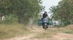 Bantu Ternak Sapi dan Pencak Silat, Siswi di Merauke Ini Sukses Raih Beasiswa