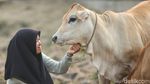 Bantu Ternak Sapi dan Pencak Silat, Siswi di Merauke Ini Sukses Raih Beasiswa