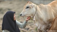 Mulanya, wali kelas Ana menyarankan Ana dan teman-temannya untuk membawa persyaratan untuk mengajukan beasiswa. Adapun persyaratan yang harus dibawa, di antaranya sertifikat dan kartu keluarga (KK) yang telah difotokopi. Sekitar satu bulan kemudian, sejumlah petugas Kampung Isano Mbias pun menyambangi rumah Ana dan menemui ayahnya. Kemudian, beasiswa tersebut diterima secara langsung oleh Ana.