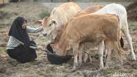 Dwi Elok Silfana Romadhon (18) berhasil mengharumkan nama Kampungnya, Isano Mbias. Kampung ini terletak di Distrik Tanah Miring, Kabupaten Merauke, Papua Selatan.