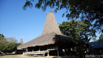 Berkunjung ke Kampung Adat Raja Prailiu