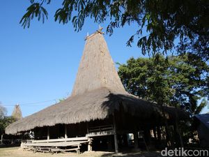 Berkunjung ke Kampung Adat Raja Prailiu