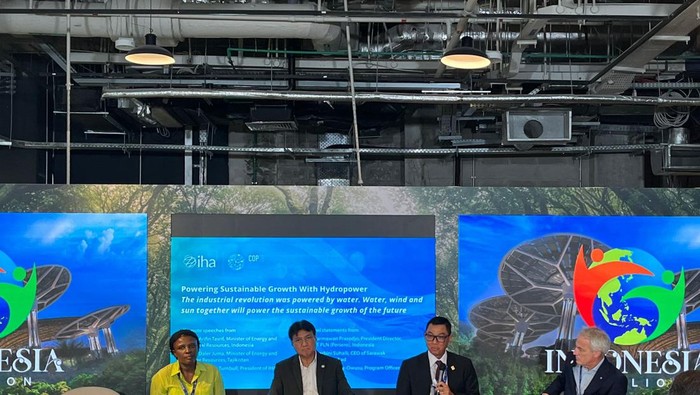 Bos PLN Blak-blakan RI Punya Potensi Besar buat Pembangkit Listrik Tenaga Air