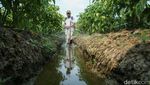 Canggih! Petani Merauke Rakit Mandiri Alat Penyemprot Tanaman