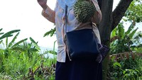 Salah satunya momen saat panen buah durian ini. Dida mengaku bahwa dirinya termasuk pecinta durian. Foto: Instagram @dida_sinclair