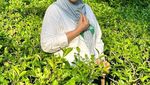 Dida Sinclair, Mertua Idaman yang Hobi Berkebun dan Memasak