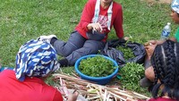 Ibu dari alm Ashraf Sinclair ini dikenal hobi berkebun. Di Instagramnya banyak momen saat dirinya panen buah hingga sayuran. Foto: Instagram @dida_sinclair