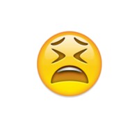 Emoji Salah Digunakan