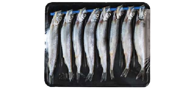 Ikan Shimano. (Transmart)