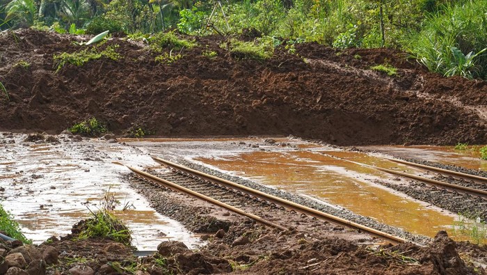Jalur Kereta Api di Banyumas Tertimbun Longsor, Perjalanan Dialihkan Petugas menyingkirkan material longsor yang menutup jalur rel kereta api di lintas stasiun Karanggandul-Karangsari, Banyumas, Jateng, Senin (4/12/2023). Perjalanan kereta api yang melintas di DAOP 5 Purwokerto, dialihkan memutar melalui Bandung atau Semarang imbas jalur kereta tertutup material longsor akibat curah hujan tinggi pada Senin (4/12/2024) dini hari. ANTARA FOTO/Idhad Zakaria/aww.