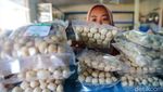 Melihat Pembuatan Kerupuk Atom, Camilan Gurih Khas Natuna