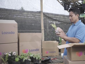 Jadi Mitra Momen Harbolnas, Lazada Tawarkan Promo 80%-Gratis Ongkir