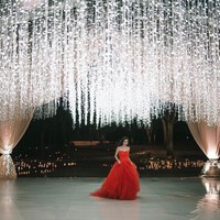 Dilaporkan Wilber Pan dan Luna Xuan meminta agar para tamu tidak mengunggah foto-foto pernikahan sebelum mereka.  Foto: Instagram