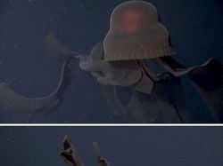 Deretan Mahluk Laut Menakutkan Bikin Bergidik