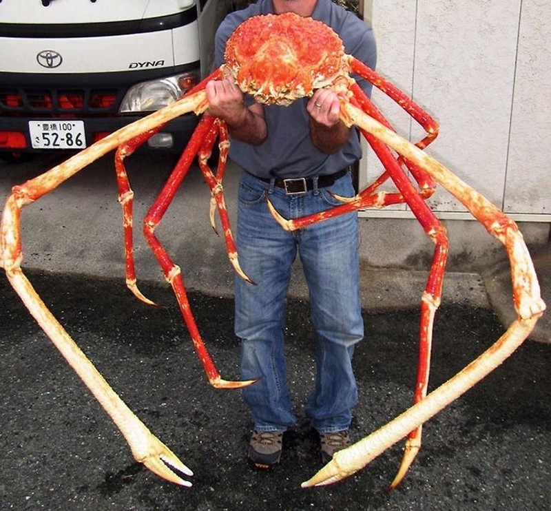 Makhluk Laut yang Menakutkan