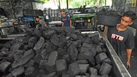 Pekerja menggiling arang batok kelapa untuk diekspor ke Arab Saudi di sentra pembuatan arang PT Harapan Agri Santosa (HAS) di Cigoong, Walantaka, Serang, Banten, Senin (4/12/2023).