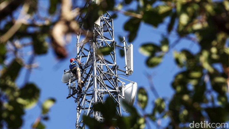 Ridwan Arifin merupakan teknisi yang bertugas merawat tower BTS milik BAKTI Kominfo di Natuna. Ia memiliki tanggung jawab untuk merawat 19 tower BTS.