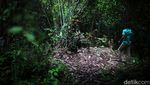 Menyusuri Kampung Segeram yang Dihuni Penduduk Awal Natuna