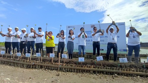 Penanaman mangrove oleh BRI dan BenihBaik.
