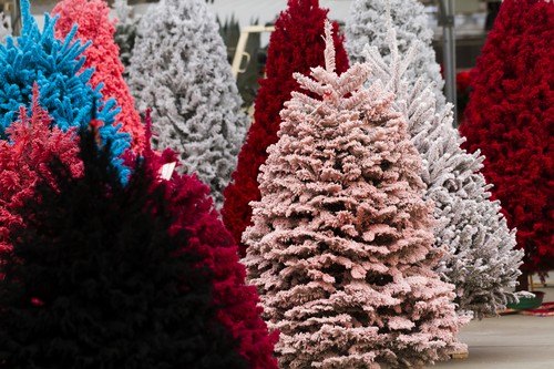 Flocked Christmas Tree with multi colors.