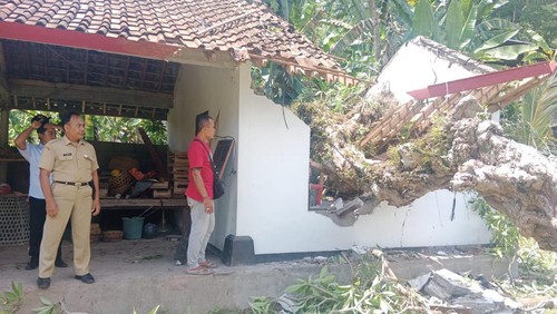 Pohon tumbang yang menimpa bangunan bale gong di Banjar Dinas Pande, Desa/Kecamatan Manggis, Kabupaten Karangasem, akibat hujan deras, Senin (4/12/2023). (istimewa)