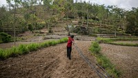 Kesulitan air bersih masih jadi permasalahan hingga saat ini. Sejumlah titik di Gunungkidul kerap menjadi langganan kekeringan pada musim kemarau.  