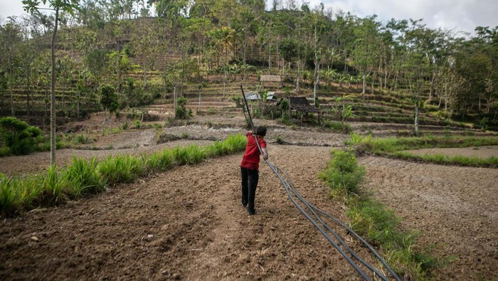 Potensi sumber air bersih di Gunungkidul Penulusur gua dari Save+Rescue menunjukkan sumber air bersih di Gua Plelean, Tepus, Gunungkidul, DI Yogyakarta.
