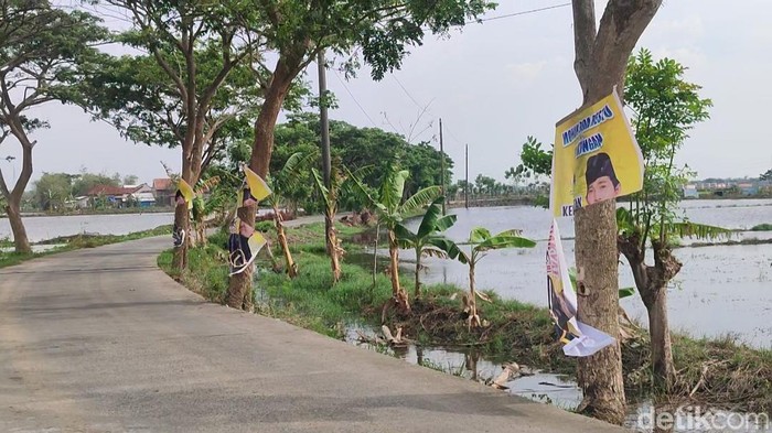 Sejumlah baliho caleg di Demak diduga dirusak di pinggir jalan raya Kabupaten Desa Karangrejo, Bonang, Senin (4/12/2023).