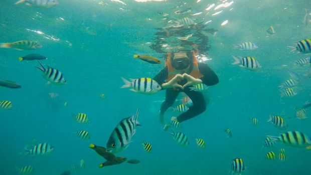 Snorkeling di Pulau Payung