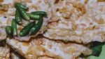 Gurih Renyah Tempe Mendoan Rp 2.000 Ada  di 20 Tempat Ini