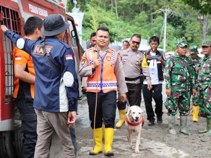 Anjing pelacak dikerahkan untuk mencari korban banjir bandang Humbahas yang masih hilang. (Foto: Dok. Polda Sumut)