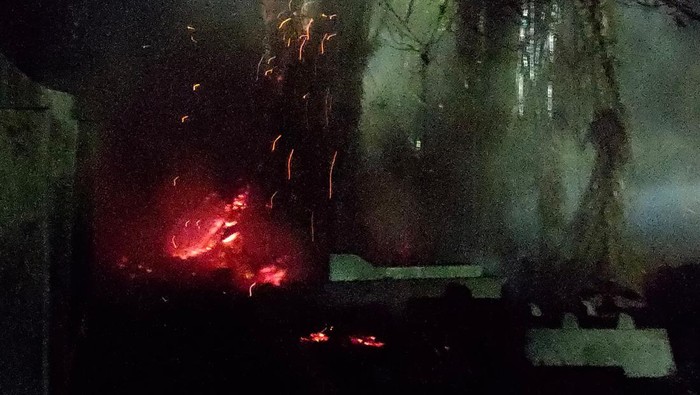Pohon terbakar di Gunungkidul